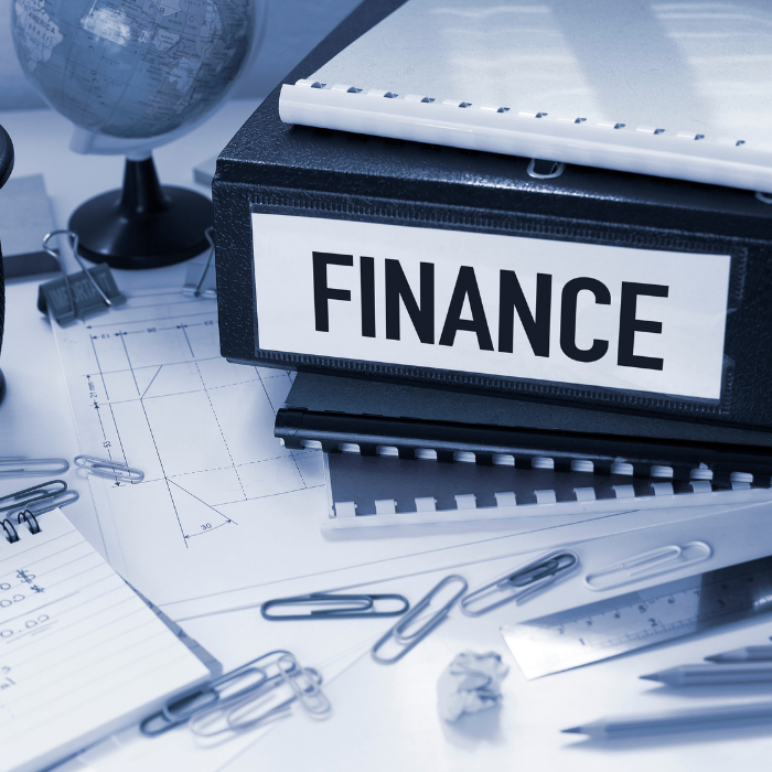 Chartered accountant professional company project by Edhitaa Designns